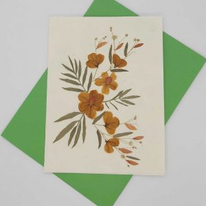 Dried Petal Flower Card 12