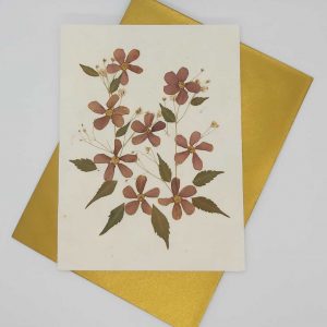 Dried Petal Flower Card 2