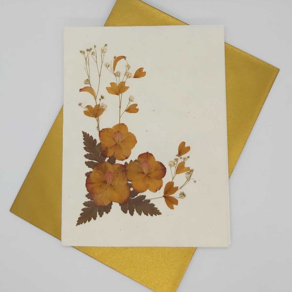 Dried Petal Flower Card 1