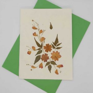 Dried Petal Flower Card 4