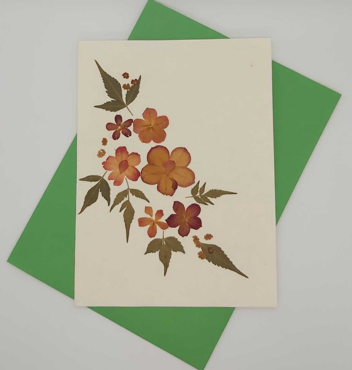 Dried Petal Flower card 6