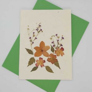 Dried Petal Flower card 8