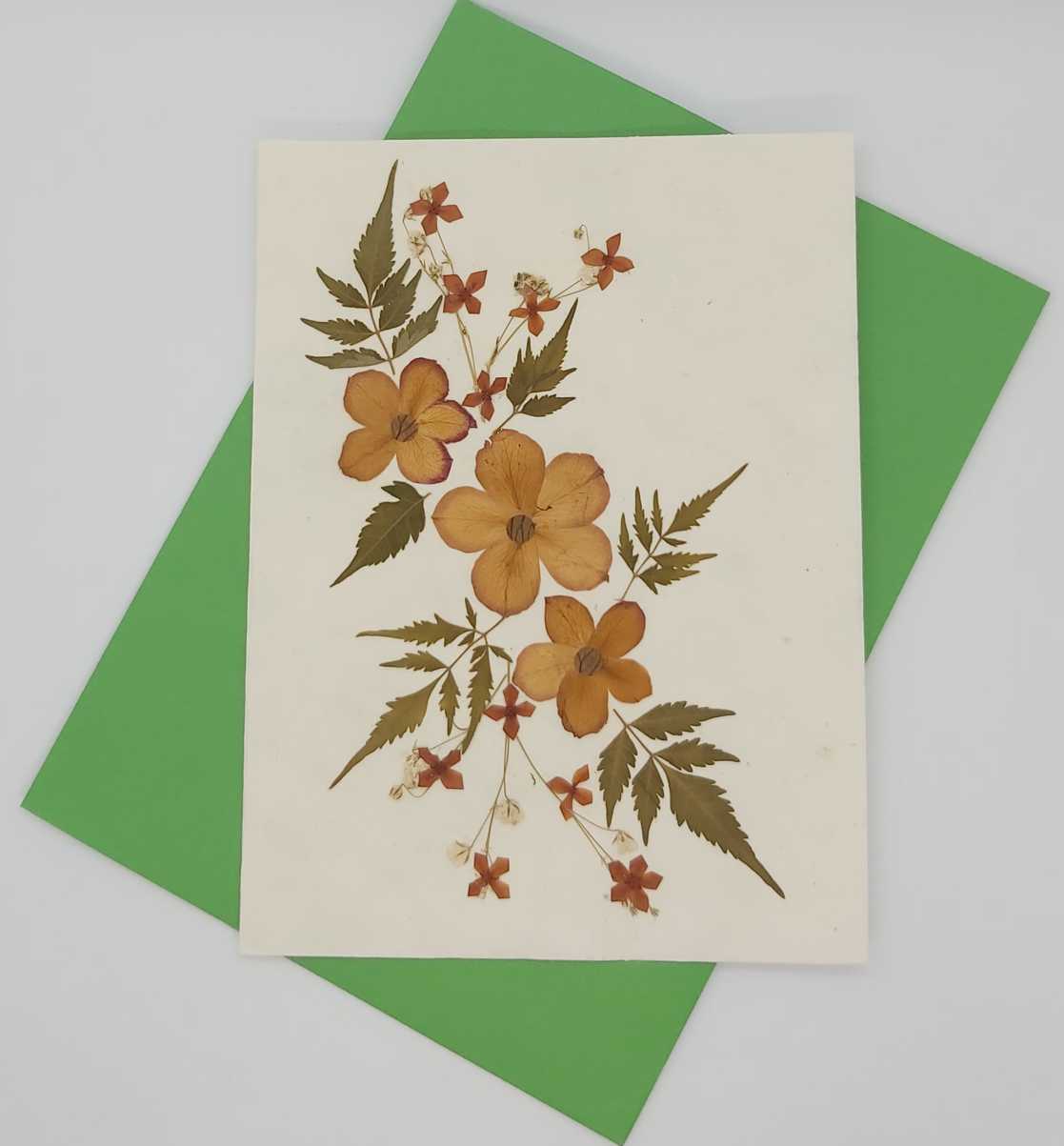 Dried Petal Flower Card 10