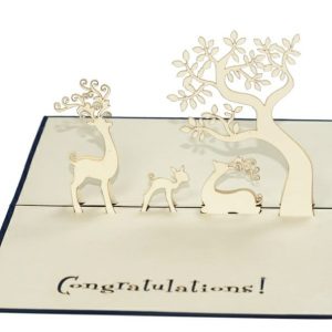 Congratulations P1806