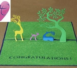 Congratulation on Turf