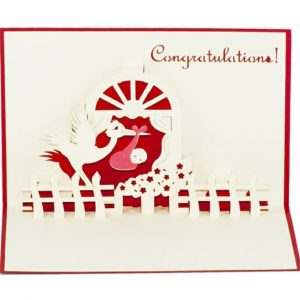 Congratulations P1851