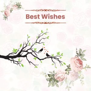 Best Wishes greeting cards