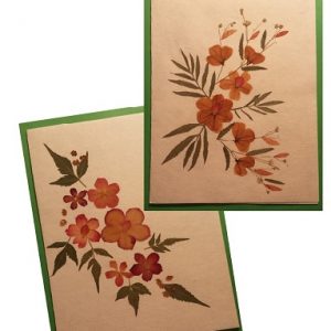 Handmade Dried Flower Card Assorted Pack