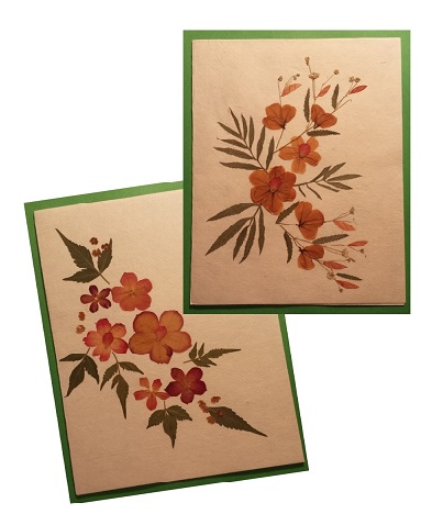 Handmade Dried Flower Card Assorted Pack